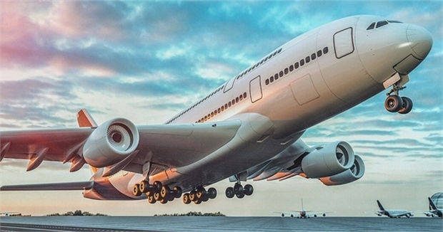 Vận chuyển chuyên tuyến Việt - Nhật